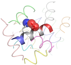 Baker_helix_macropole_opt